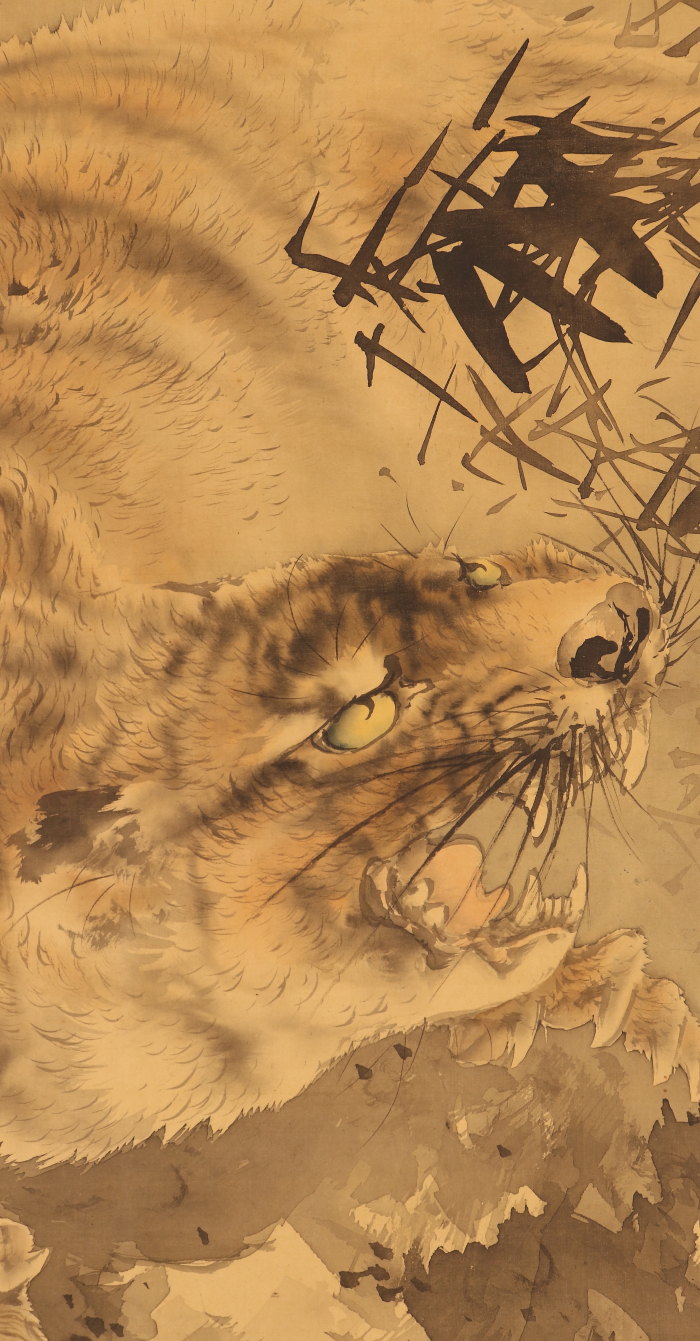 模写】【伝来】ik1605〈岸駒〉猛虎図 狩野探道極箱 岸派の祖 江戸時代